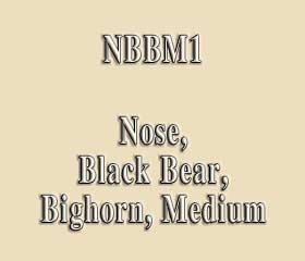 NBBM1